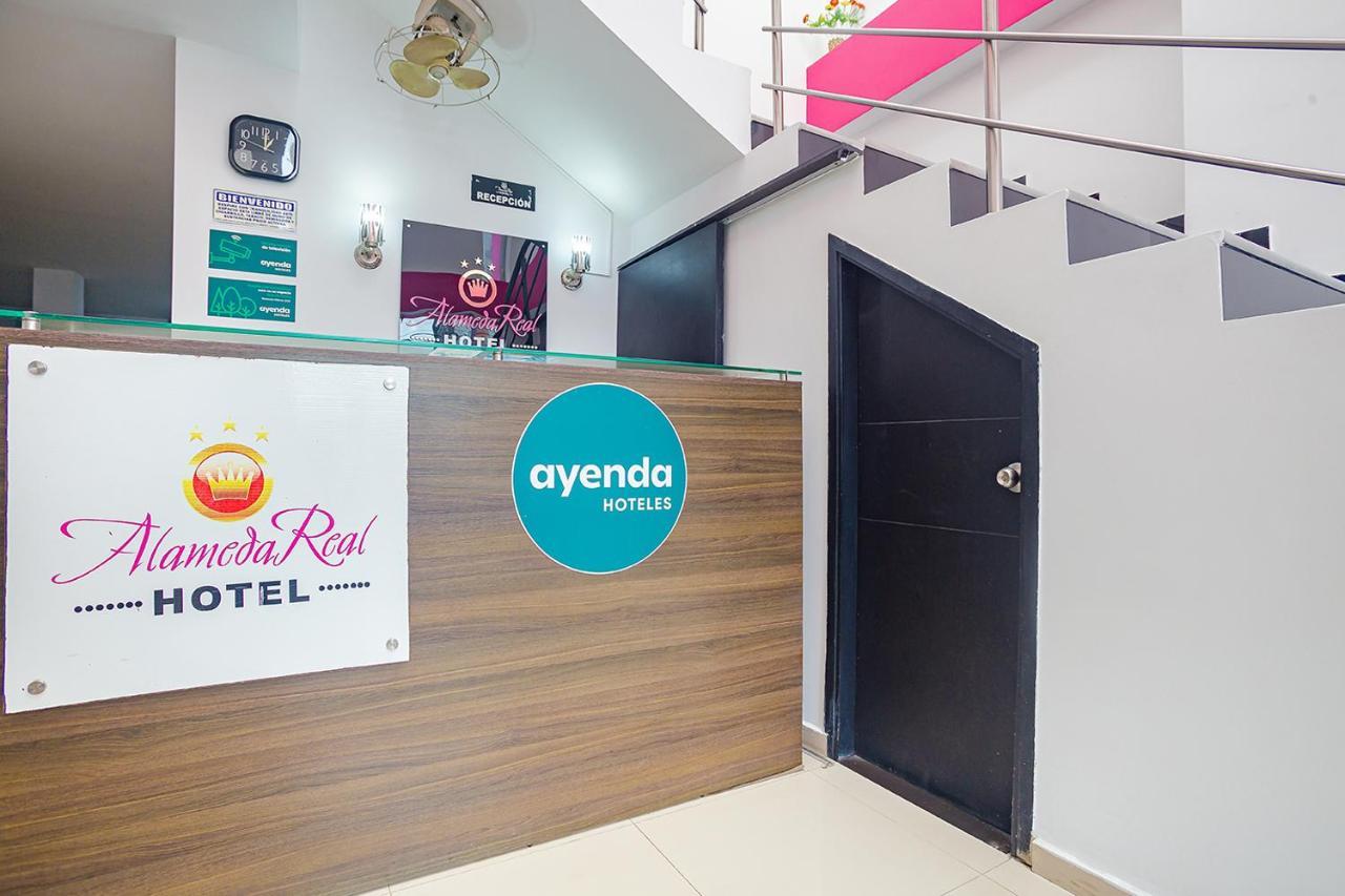 Готель Ayenda Alameda Real Монтерія Екстер'єр фото